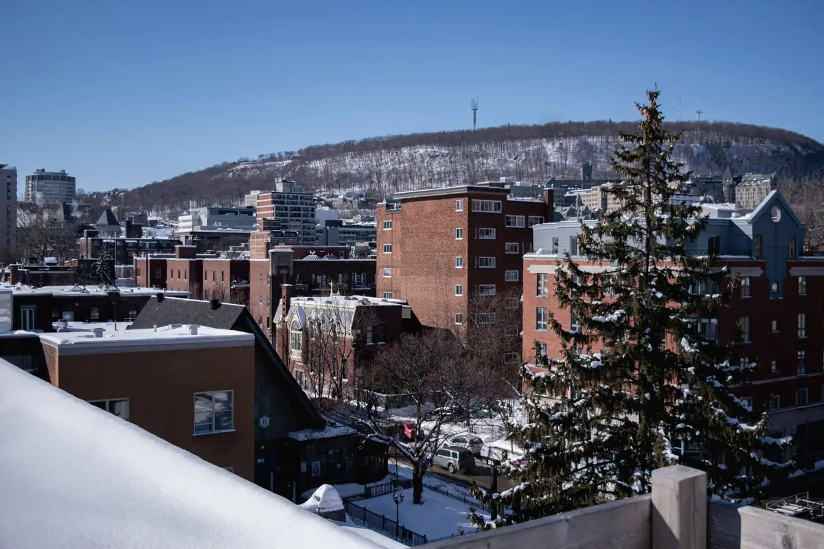 Brick buildings and rooftops with Mount Royal behind, in winter