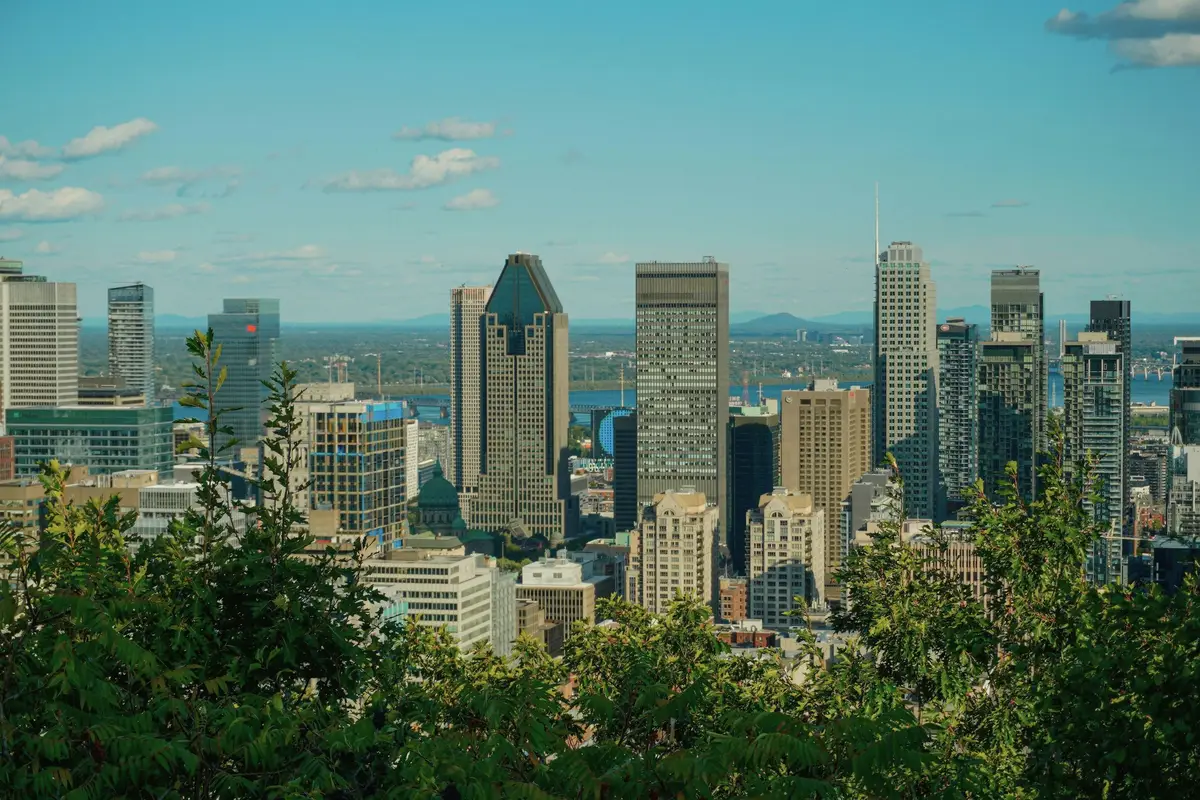 Downtown Montréal towers seen above the trees from Mount Royal